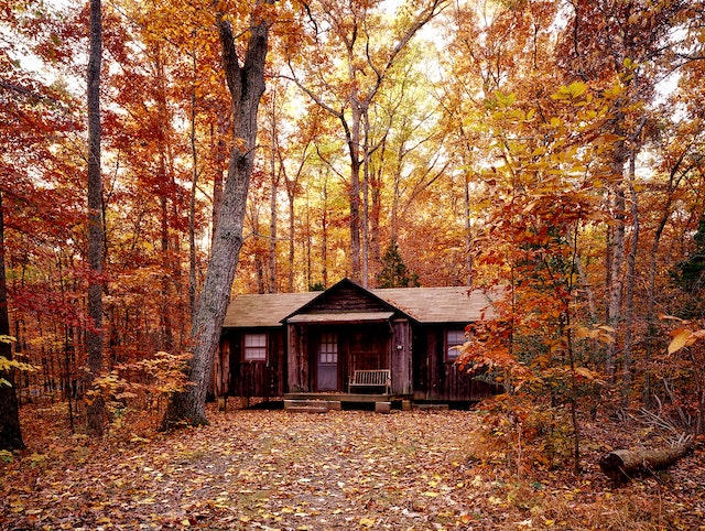 Uncover the Serenity and Tranquility of Log Cabin Getaways